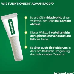 Advantage 400 für Hunde ab 25 kg, 1X4 St