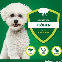 Advantage 100 für Hunde von 4-10 kg, 4 St