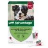 Advantage 250 für Hunde von 10-25 kg, 4 St