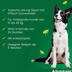 Advantage 250 für Hunde von 10-25 kg, 4 St