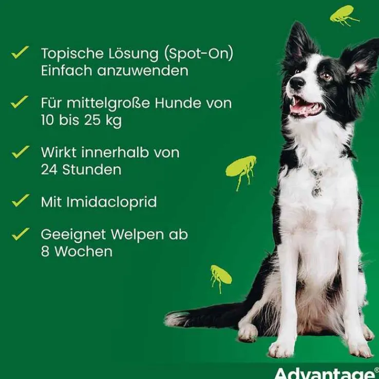 Advantage 250 für Hunde von 10-25 kg, 4 St