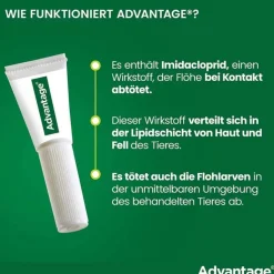 Advantage 250 für Hunde von 10-25 kg, 4 St