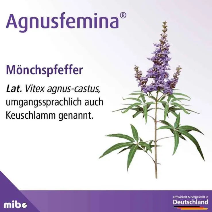 Agnusfemina 4 mg Filmtabletten , 100 St
