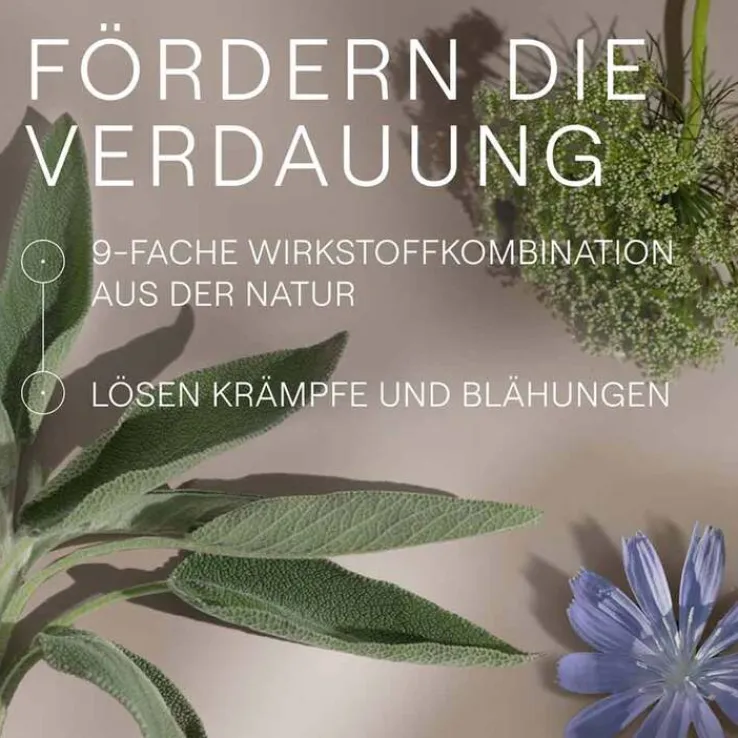 Amara-Tropfen Dilution, 50 ml