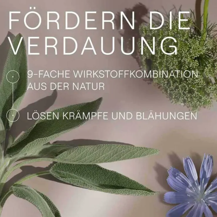 Amara-Tropfen Dilution, 20 ml