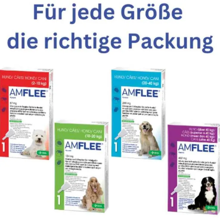 Amflee 67 mg für kleine Hunde, 3 St