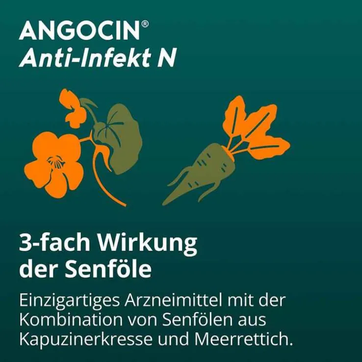 ANGOCIN Anti-Infekt N Filmtabletten, 100 St