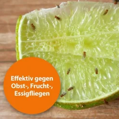 Ardap Fruchtfliegenfalle, 1 St