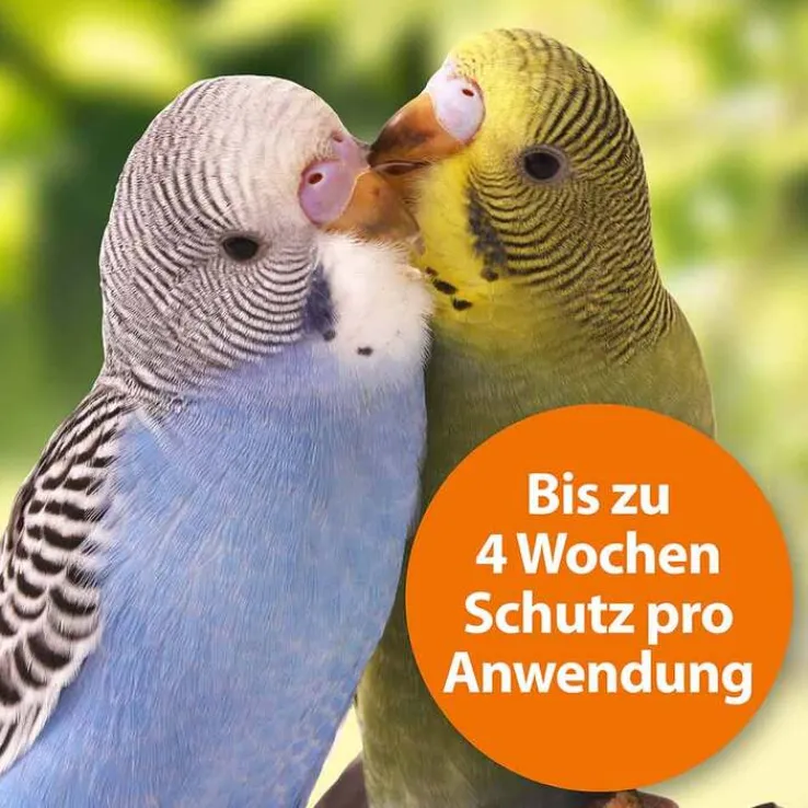 Ardap Spot-On für Ziervögel und Brieftauben, 2 St