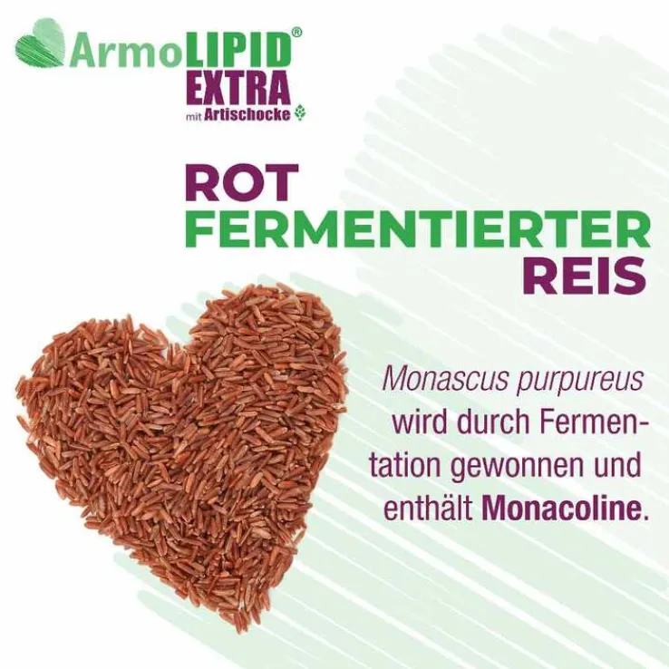 Armolipid Extra Tabletten mit Artischocke, 60 St