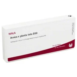 Arnica E Planta tota D 30 Ampullen, 10X1 ml