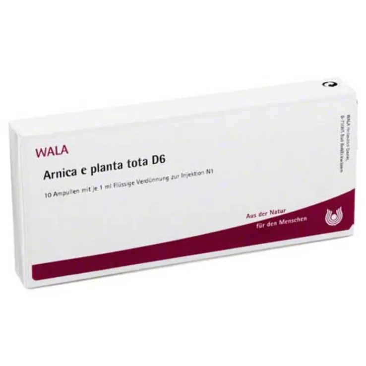 Arnica E Planta tota D6 Ampullen, 10X1 ml