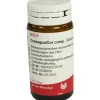 Arnica E Planta tota D 2 Globuli, 20 g
