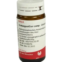 Arnica E Planta tota D 2 Globuli, 20 g