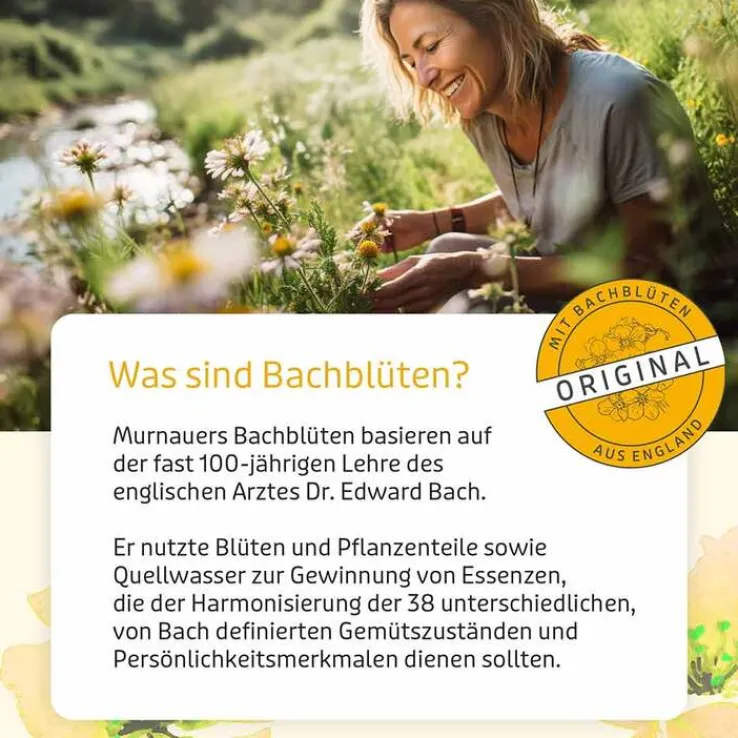 Bachblüten Murnauer Original Tropfen nach Dr. Bach, 20 ml