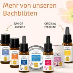 Bachblüten Murnauers Globuli Konzentrier Dich, 10 g