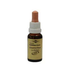 Bachblüten Murnauer Tropfen Chestnut Bud, 20 ml