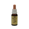 Bachblüten Murnauer Tropfen Walnut, 20 ml