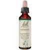 Bachblüten Nr. 1 Agrimony Tropfen, 20 ml