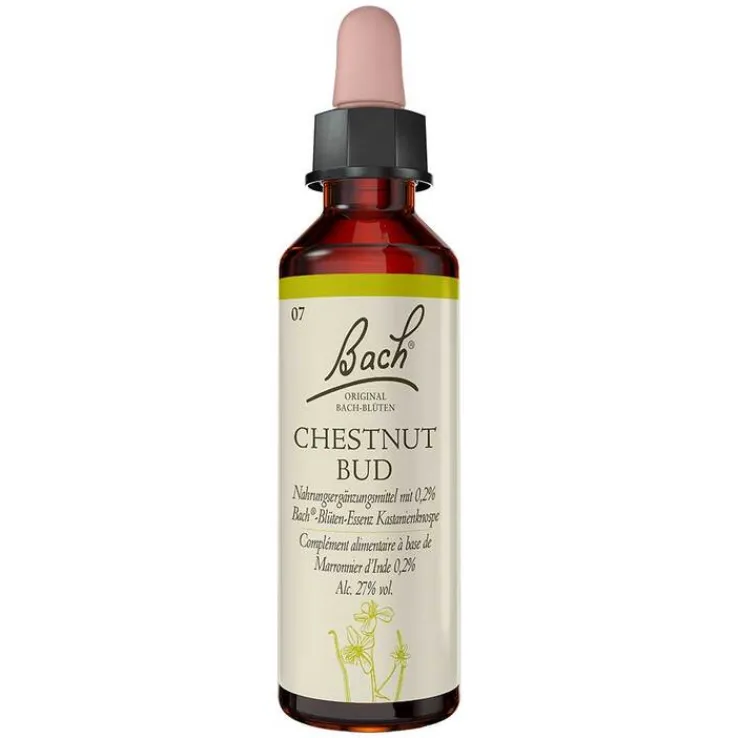 Bachblüten Nr. 7 Chestnut Bud Tropfen, 20 ml