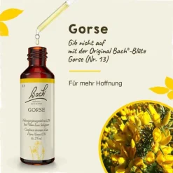 Bachblüten Nr. 13 Gorse Tropfen, 20 ml