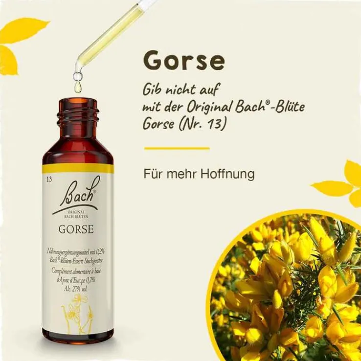 Bachblüten Nr. 13 Gorse Tropfen, 20 ml