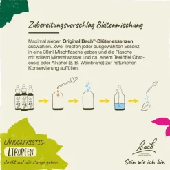 Bachblüten Nr. 14 Heather Tropfen, 20 ml