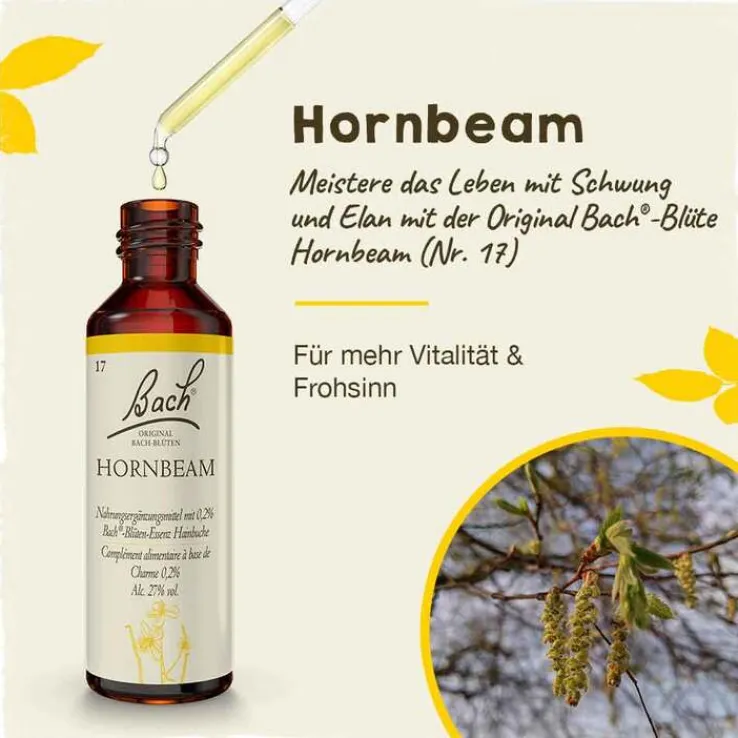 Bachblüten Nr. 17 Hornbeam Tropfen, 20 ml