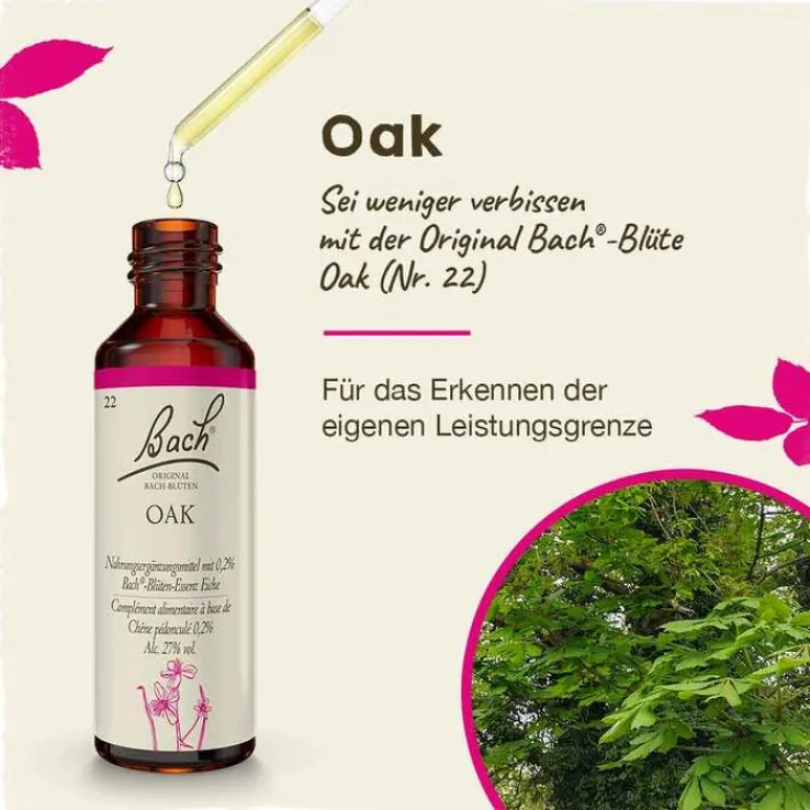 Bachblüten Nr. 22 Oak Tropfen, 20 ml