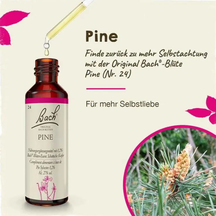 Bachblüten Nr. 24 Pine Tropfen, 20 ml
