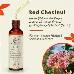 Bachblüten Nr. 25 Red Chestnut Tropfen, 20 ml