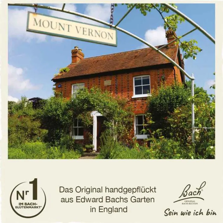 Bachblüten Nr. 26 Rock Rose Tropfen, 20 ml