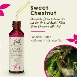Bachblüten Nr. 30 Sweet Chestnut Tropfen, 20 ml