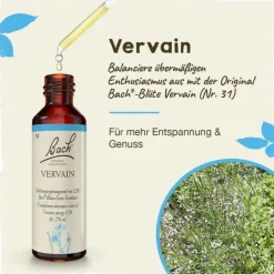 Bachblüten Nr. 31 Vervain Tropfen, 20 ml