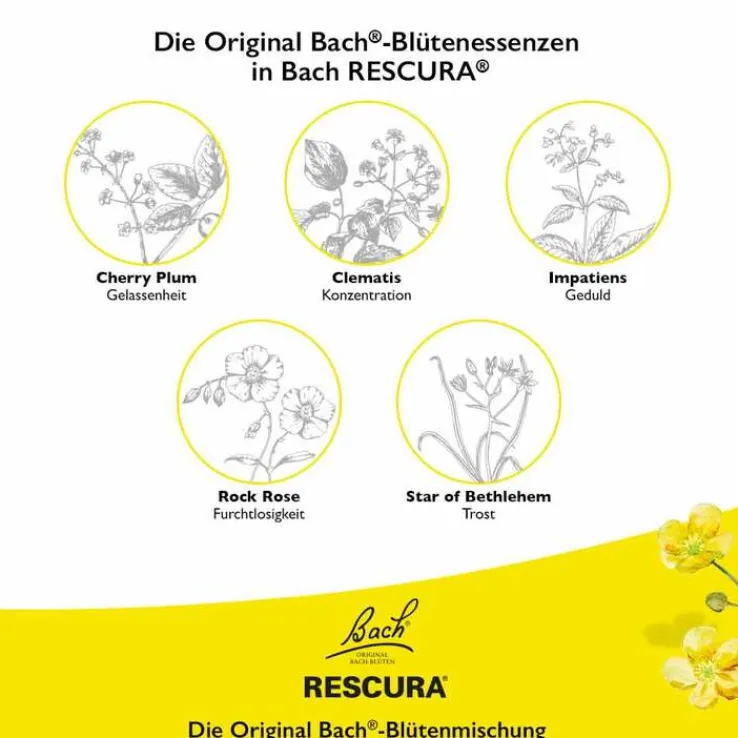 Bachblüten Original Rescura Tropfen alkoholfrei, 10 ml