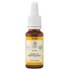 Bachblüte No.29 Star of Bethlehem Bio, 20 ml