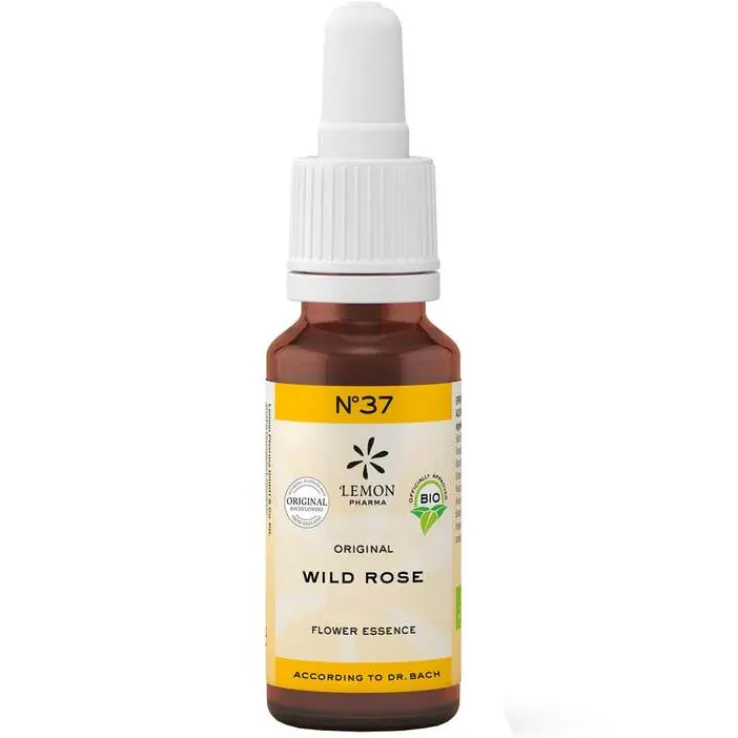 Bachblüte No.37 Wild Rose Bio, 20 ml