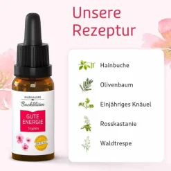 BB Gute Energie Tropfen, 20 ml