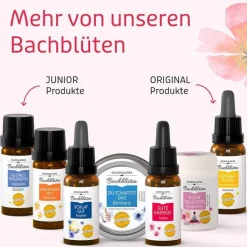 BB Gute Energie Tropfen, 20 ml