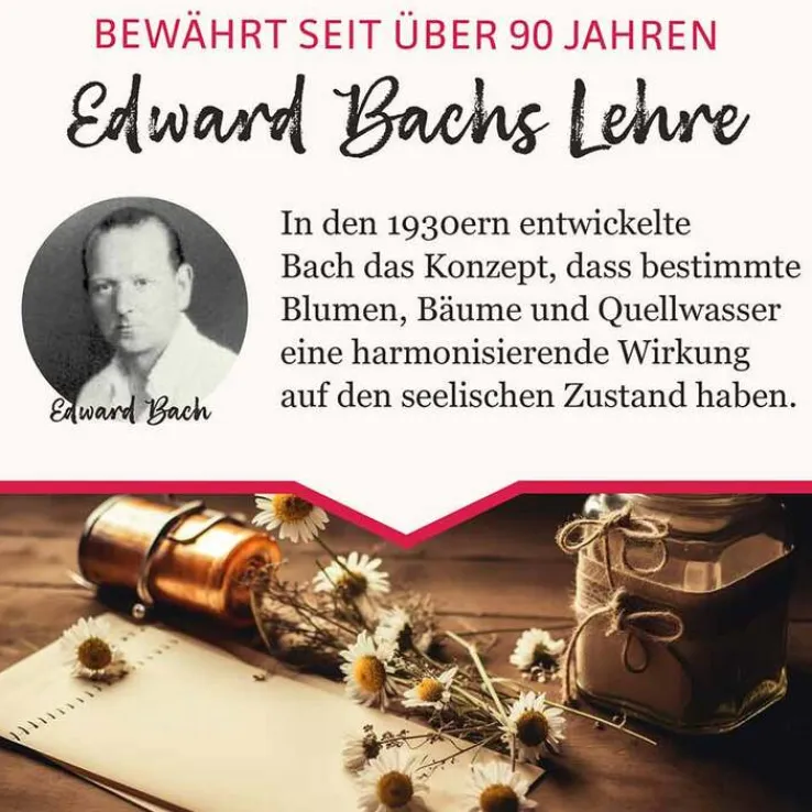 BB Gute Energie Tropfen, 20 ml