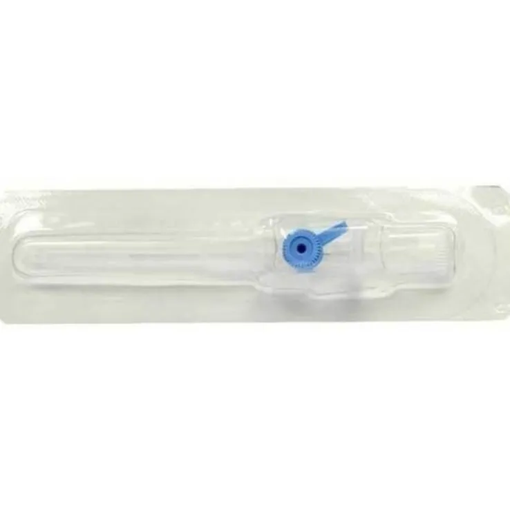 BD Venflon 2 22G 0,8x25mm Verweilkanüle, 1 St