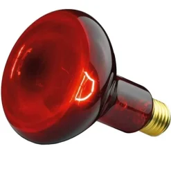 Beurer Glühbirne Infrarotlicht 100W, 1 St
