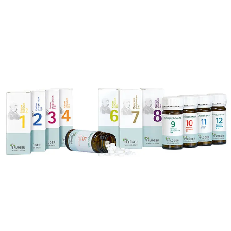 Biochemische Haus / Reiseapotheke Pflüger Tabletten, 1 St