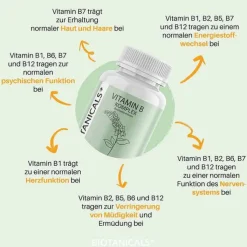 Biotanicals Vitamin B Kapseln, 90 St