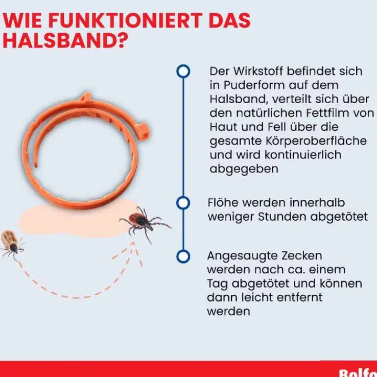 Bolfo® Zecken- und Flohschutzband für Katzen und kleine Hunde, 1 St
