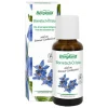 Borretsch-Öl, 30 ml