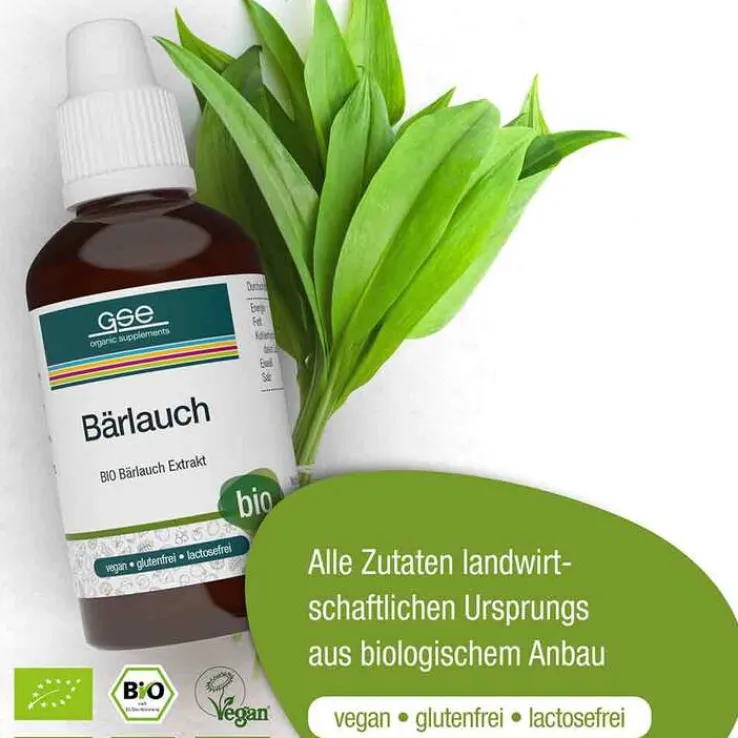 Bärlauch Extrakt Bio 24% V / V, 50 ml