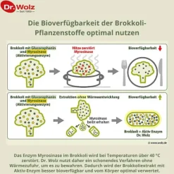Brokkoliextrakt + Aktiv-Enzym Dr. Wolz magensaftresistent Kapseln , 60 St