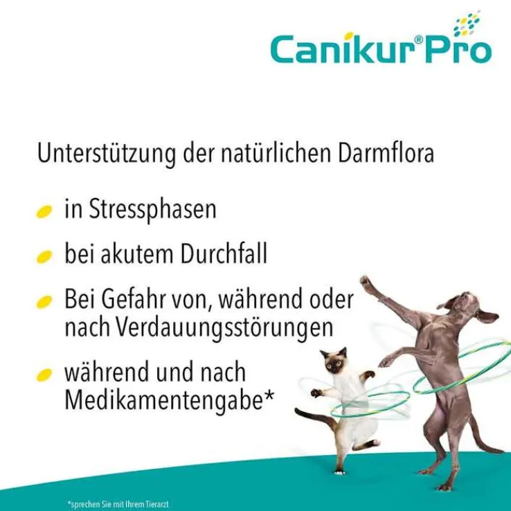 Canikur Pro vet. Paste, 15 ml
