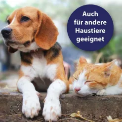 Canosept Hautpflege Spray für Hunde, 250 ml